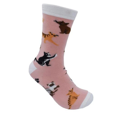 PINK CATS BAMBOO SOCKS - ladies
