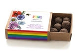 SEEDBALL RAINBOW WILDFLOWER MATCHBOXES