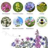 SEEDBALL WILDFLOWER STOCKING FILLERS