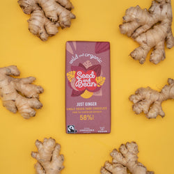 Just Ginger Dark Chocolate - by Seed & Bean