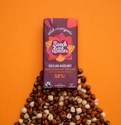 Sicilian Hazelnut Dark Chocolate - by Seed & Bean