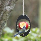 ashortwalk eco bird feeder